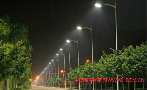 鄉(xiāng)村LED路燈.JPG