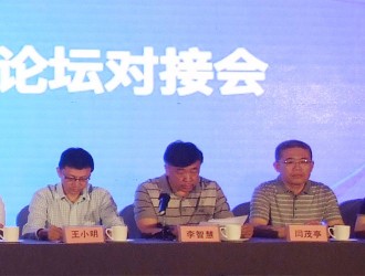 開幕式-2017河北城市照明發(fā)展合作論壇對(duì)接會(huì)