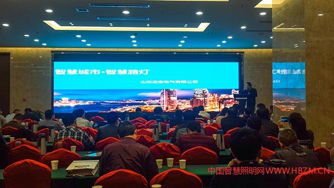 凌寶電氣參加2017年山東省照明&ldquo;十三五&rdquo;規(guī)劃