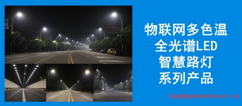 誠招多色溫全光譜LED智慧路燈、RGBW夜景燈飾、智慧燈桿系列產(chǎn)品，城市路燈照明、合同能源管理工程代理商